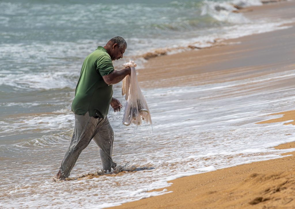 Catch of the Day by Alan Crisp